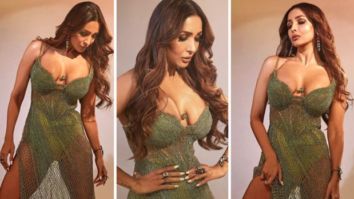 It’s difficult to look away from Malaika Arora in Hana’s green sheer dress in “Aap Jesa Koi” song from film Action Hero