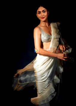 Celebrity Photos of Mrunal Thakur
