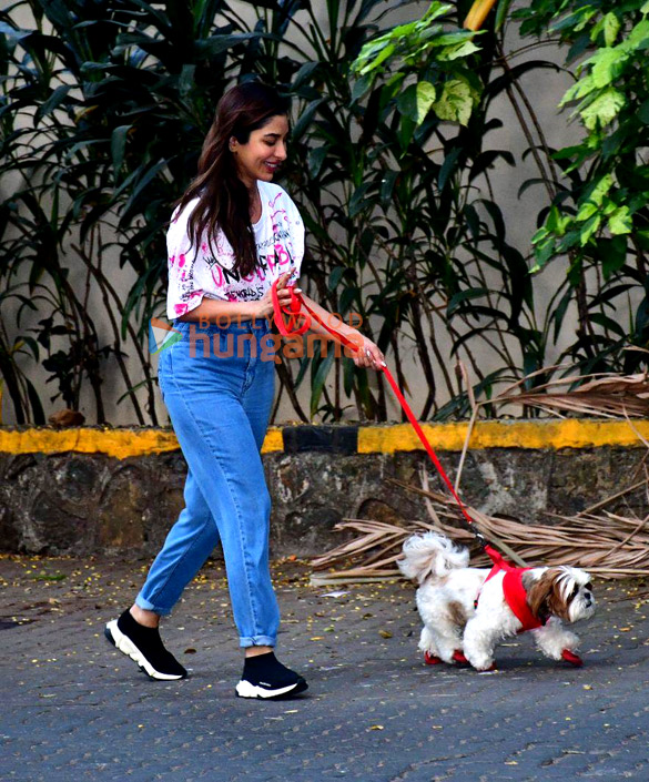photos sophie choudry spotted with her pet in bandra 3