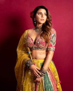 Celeb Photos Of Shama Sikander