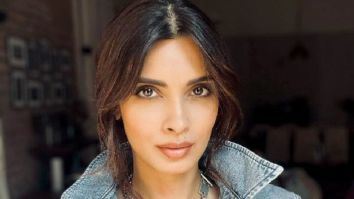 Celeb Photos Of Diana Penty
