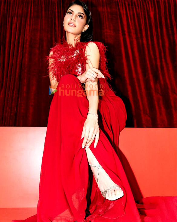jacqueline fernandez 2 91