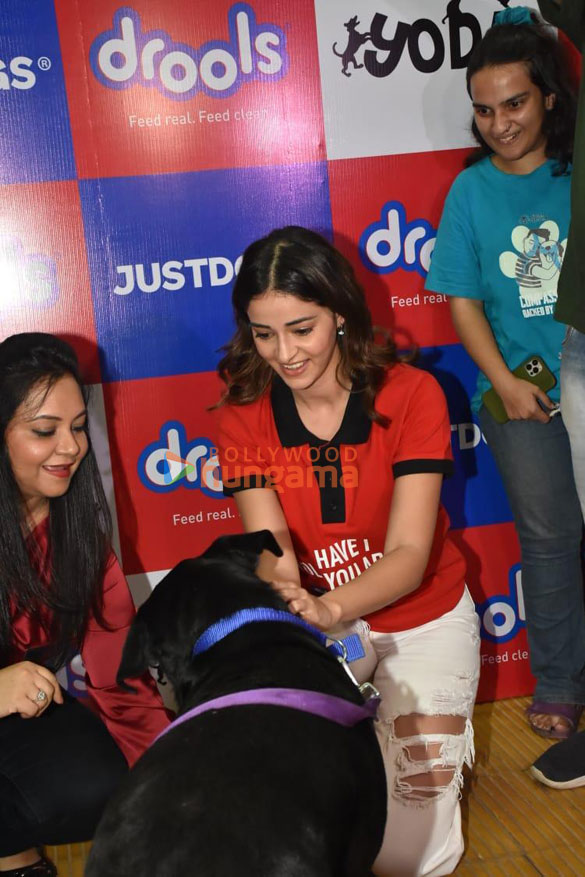 photos ananya pandey snapped at drools indias food donation drive at yoda 2