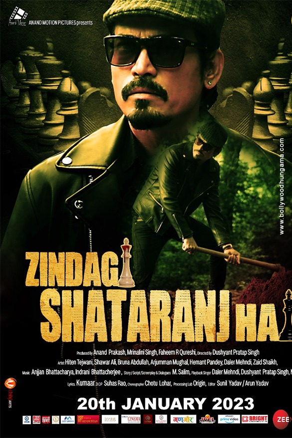 zindagi shatranj hai 6