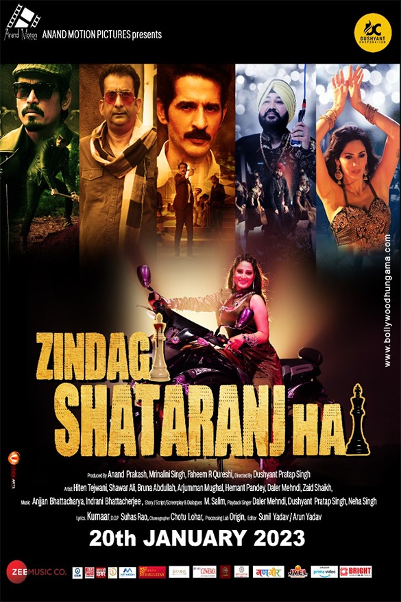 Zindagi Shatranj Hai (2023) Hindi 720p HQ PreDVDRip Download
