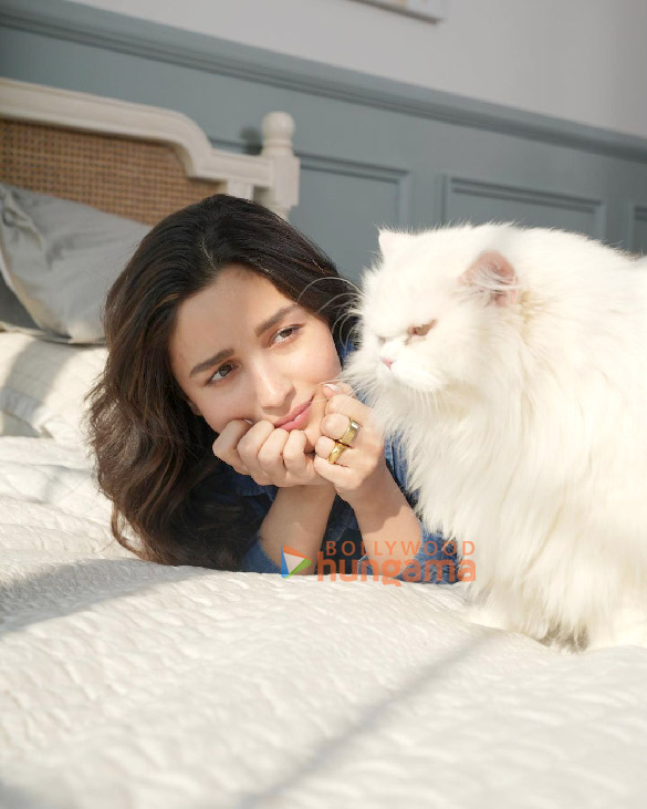 alia bhatt 2 112