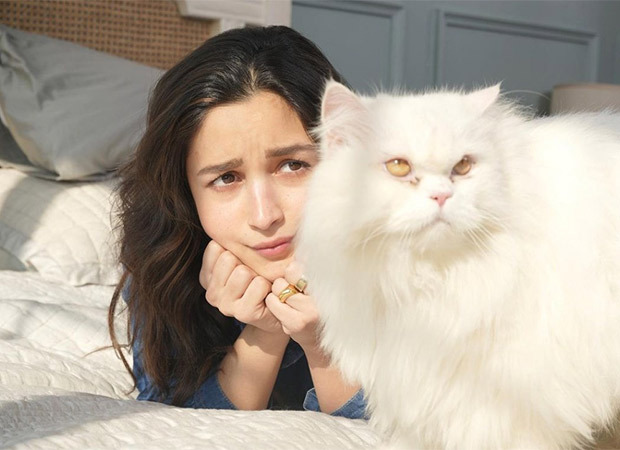 It seems to be a not so happy Sunday for Alia Bhatt; here’s why : Bollywood News