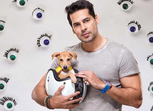 Dino Morea on Pet Fed; says, “Pet Fed has all the time been near my coronary heart” : Bollywood Information