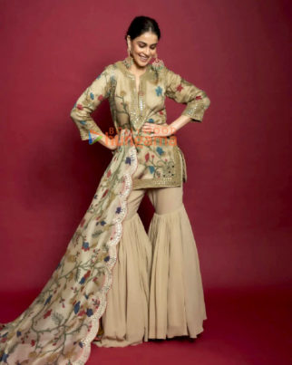Celeb Photos Of Genelia D’Souza