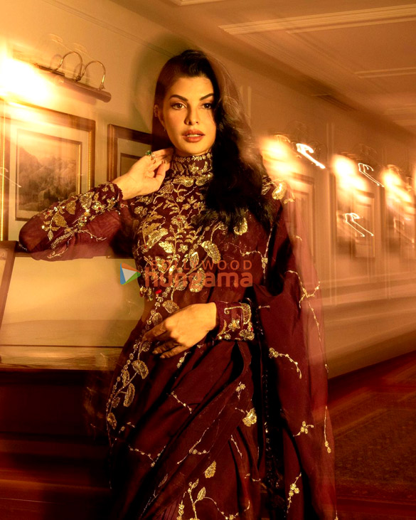jacqueline fernandez 1 100