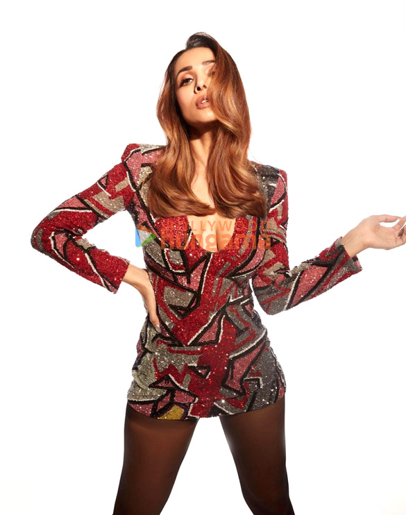 malaika arora 1 181