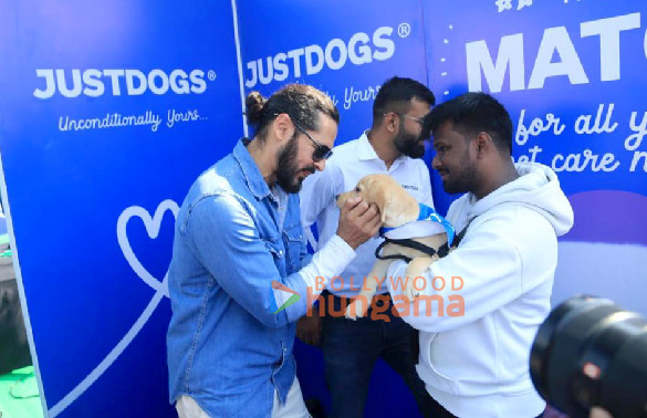 photos dino morea snapped spending time with furry friends at pet fed mumbai 3