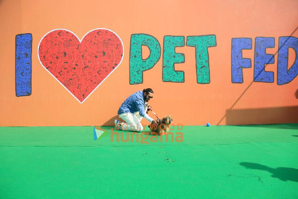 photos dino morea snapped spending time with furry friends at pet fed mumbai 6