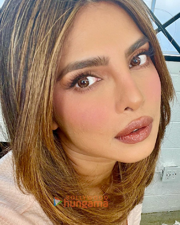 priyanka chopra jonas 2 25