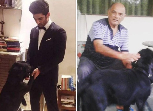 Sushant Singh Rajput’s dog Fudge passes away; his sister Priyanka pens a heartfelt note