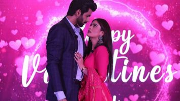 EXCLUSIVE: New show Lag Ja Gale leads Namik Paul and Tanisha Mehta open up about real-life love, marriage, and romance