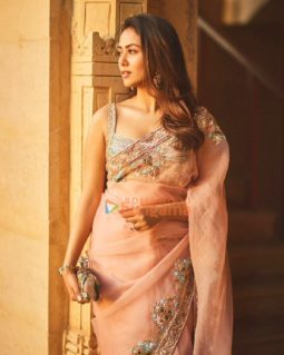 Mira Kapoor