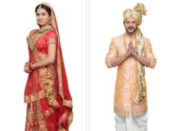 Molkki Season 2 is all set to mark the TV debut of Vidhi Yadav; actor Ashish Kapoor plays the male lead