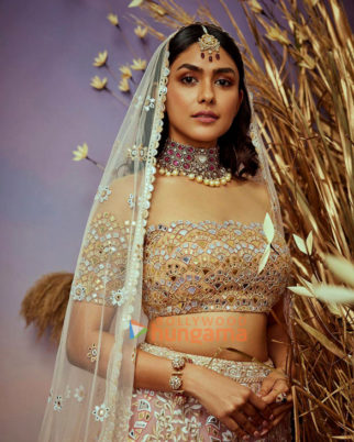 Celeb Photos Of Mrunal Thakur