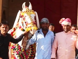 Paps capture a glimpse of the horse that was got for Sidharth & Kiara’s weddding