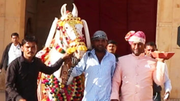 Paps capture a glimpse of the horse that was got for Sidharth & Kiara’s weddding