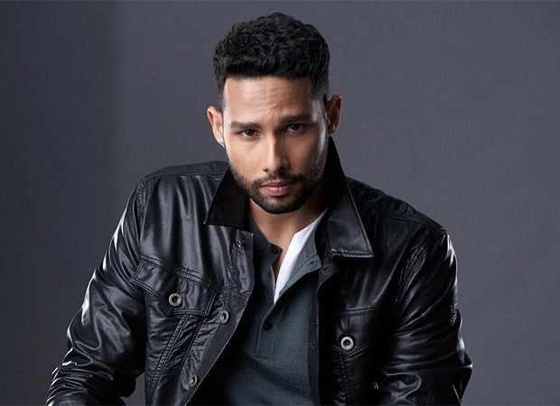 Siddhant Chaturvedi creates his own dream team of Bollywood Avengers; says; “I would love to see Shah Rukh Khan as Iron Man” : Bollywood News