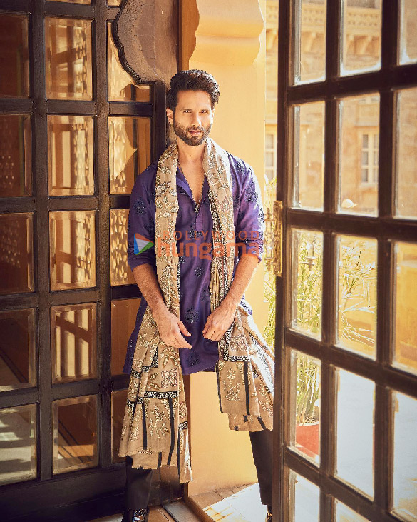 shahid kapoor 1 49