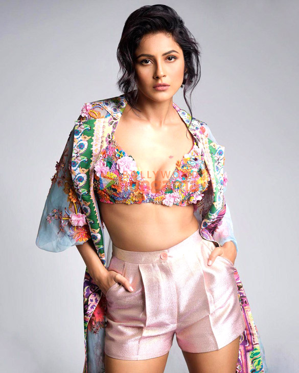 shehnaaz gill 1 27