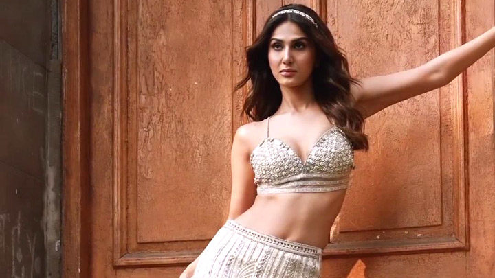 Vaani Kapoor raises hotness quotient in sexy crop tops, high-waist