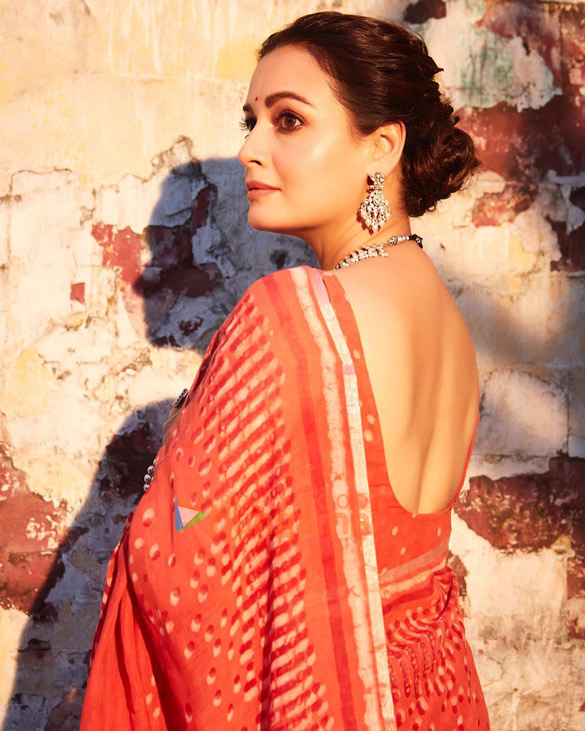 dia mirza 10 4