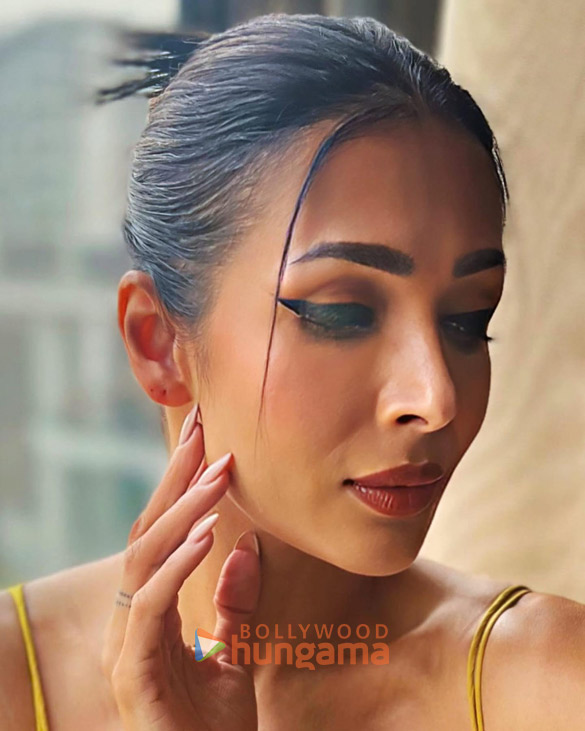 malaika arora 114