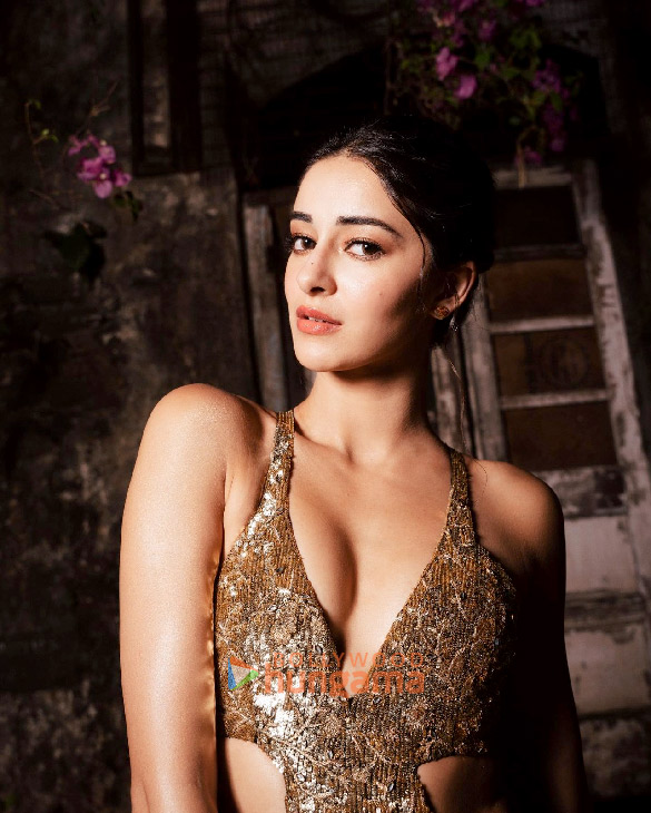 ananya panday 3 148