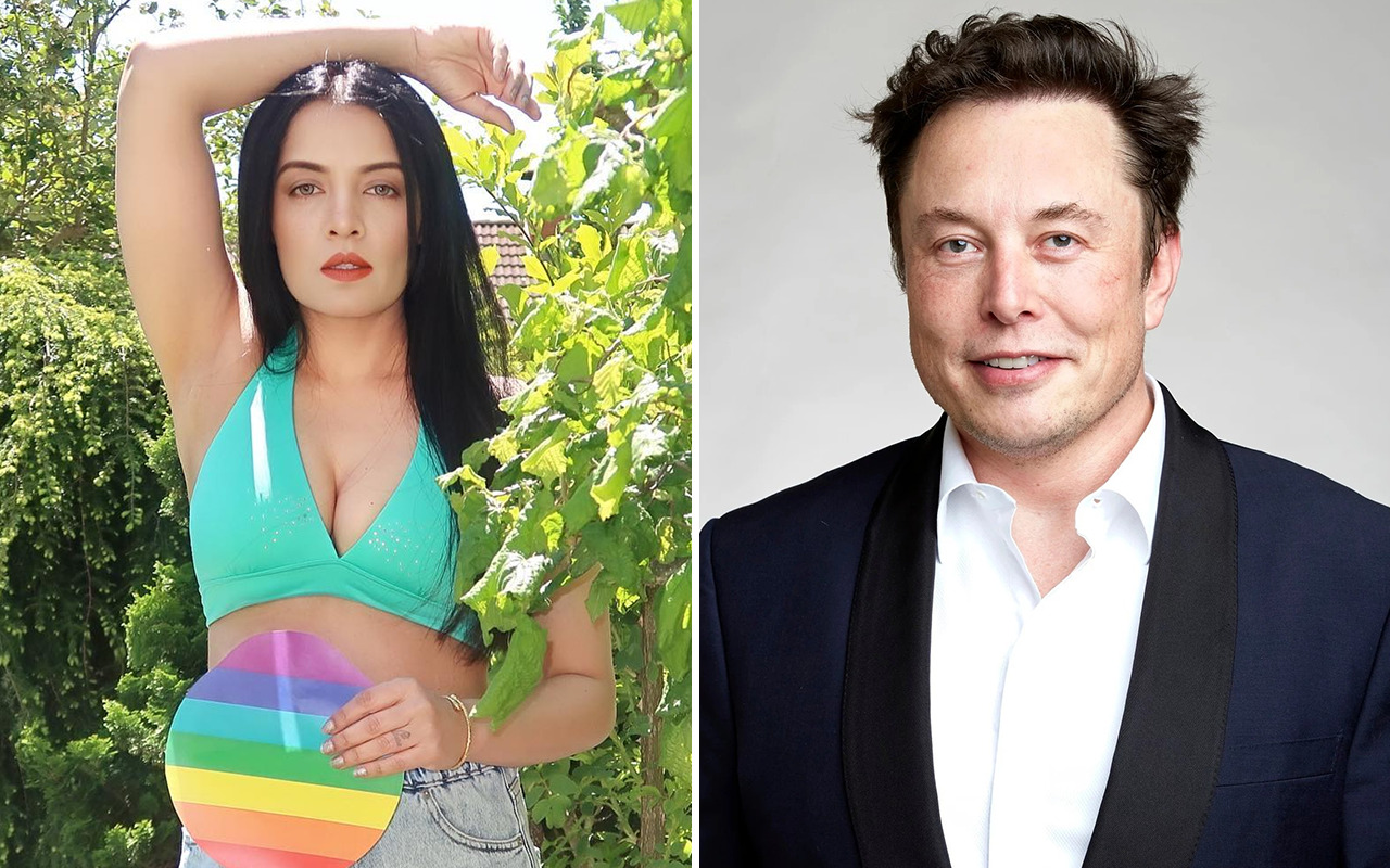 Celina Jaitly asks Elon Musk to give special blue brand recognition to 'global icons' like Amitabh Bachchan;  she says: “They have made Twitter what it is today”