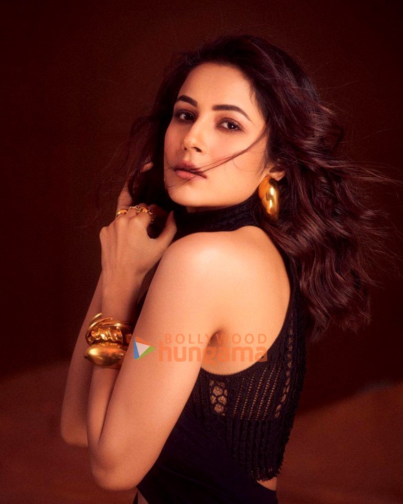 shehnaaz gill 5 17