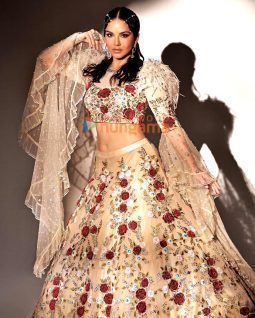 Celeb Photos Of Sunny Leone