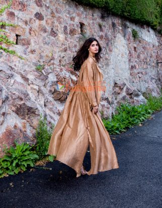 Celeb Photos Of Diana Penty