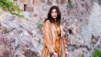 Celeb Photos Of Diana Penty
