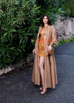 Celeb Photos Of Diana Penty