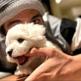 Kartik Aaryan shares an adorable picture with pet Katori; see post