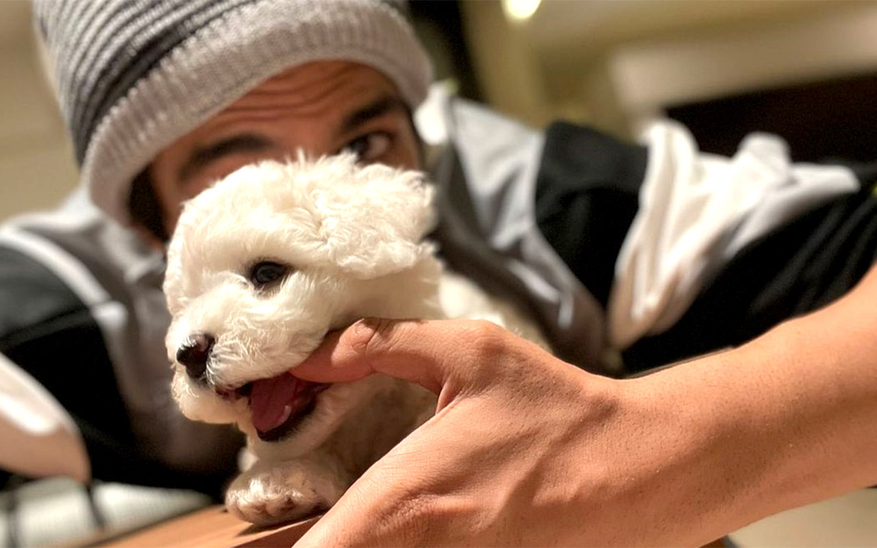 Kartik Aaryan shares an adorable picture with pet Katori; see post