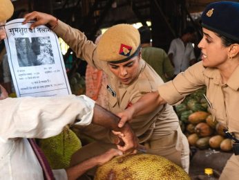 Kathal trailer out: Sanya Malhotra starrer is a quirky blend of humour and mystery with a cast of eccentric characters, watch 