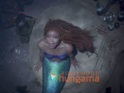 The Little Mermaid