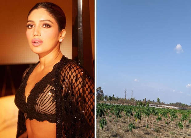On World Environment Day, Bhumi Pednekar plants 3000 saplings; says, "I will be doing this consistently"