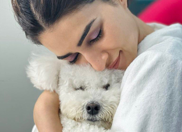 Kriti Sanon cuddles her pet dog Disco in a new adorable photo