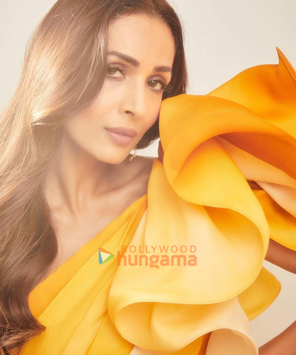 malaika arora 2 222