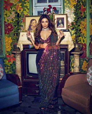 Celeb Photos Of Malaika Arora