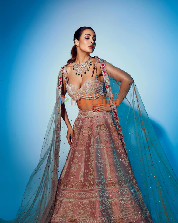 malaika arora 2 233