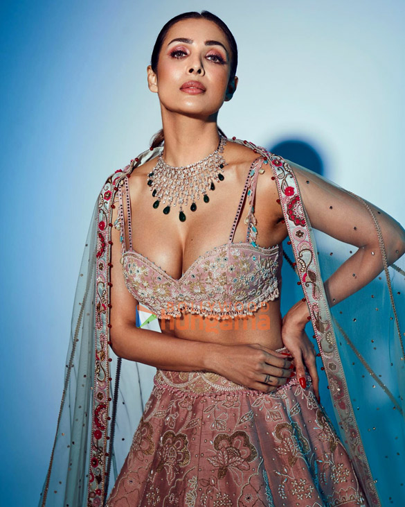 malaika arora 4 146