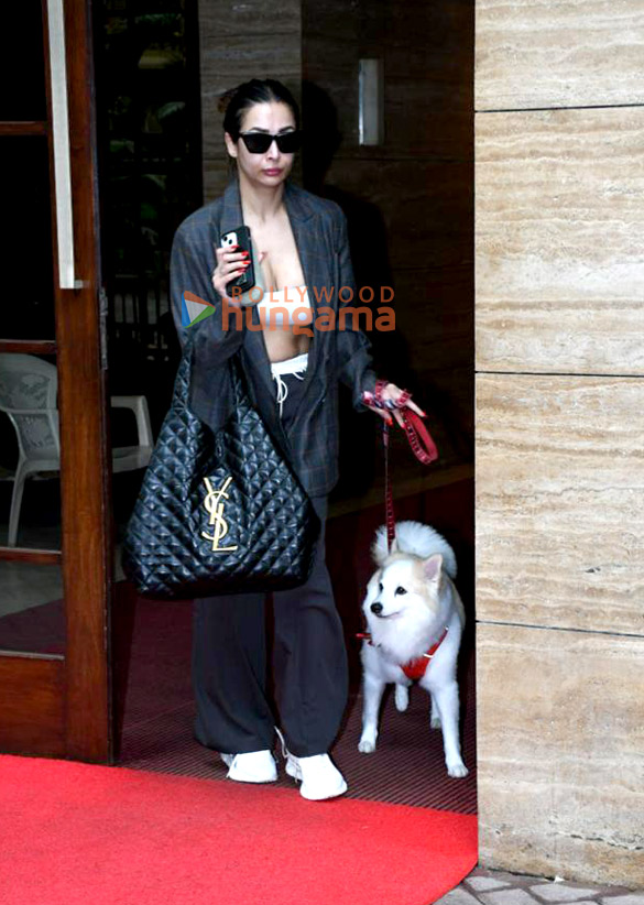 photos malaika arora spotted in khar 3 12