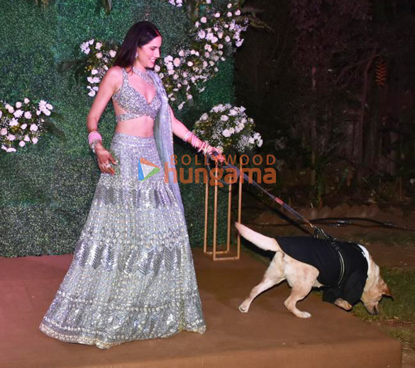 photos sonnalli seygall and ashesh sajnanis wedding reception 258 5
